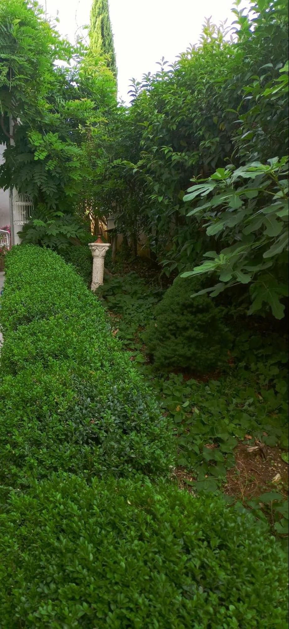 Apartment Jozefina Poreč Dış mekan fotoğraf
